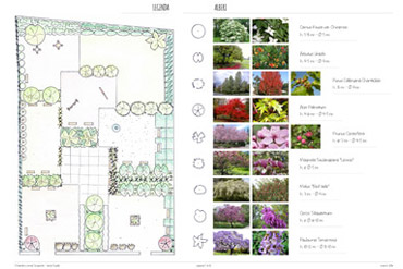 Selezione vegetazione - Giardino pubblico - Irene Guida - Progettazione giardini