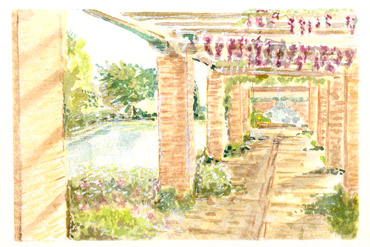 Rendering in acquerello - Giardino privato - Irene Guida - Progettazione giardini