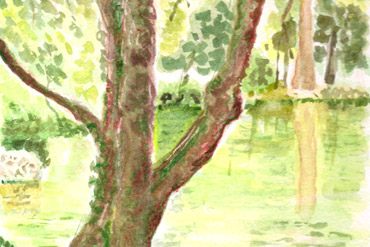 Rendering in acquerello - Giardino privato - Irene Guida - Progettazione giardini